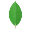 MongoDB
